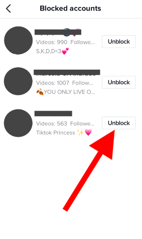 TikTok Unblock