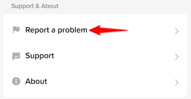 TikTok Report a Problem