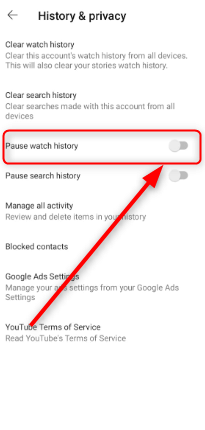 pause Youtube watch history 